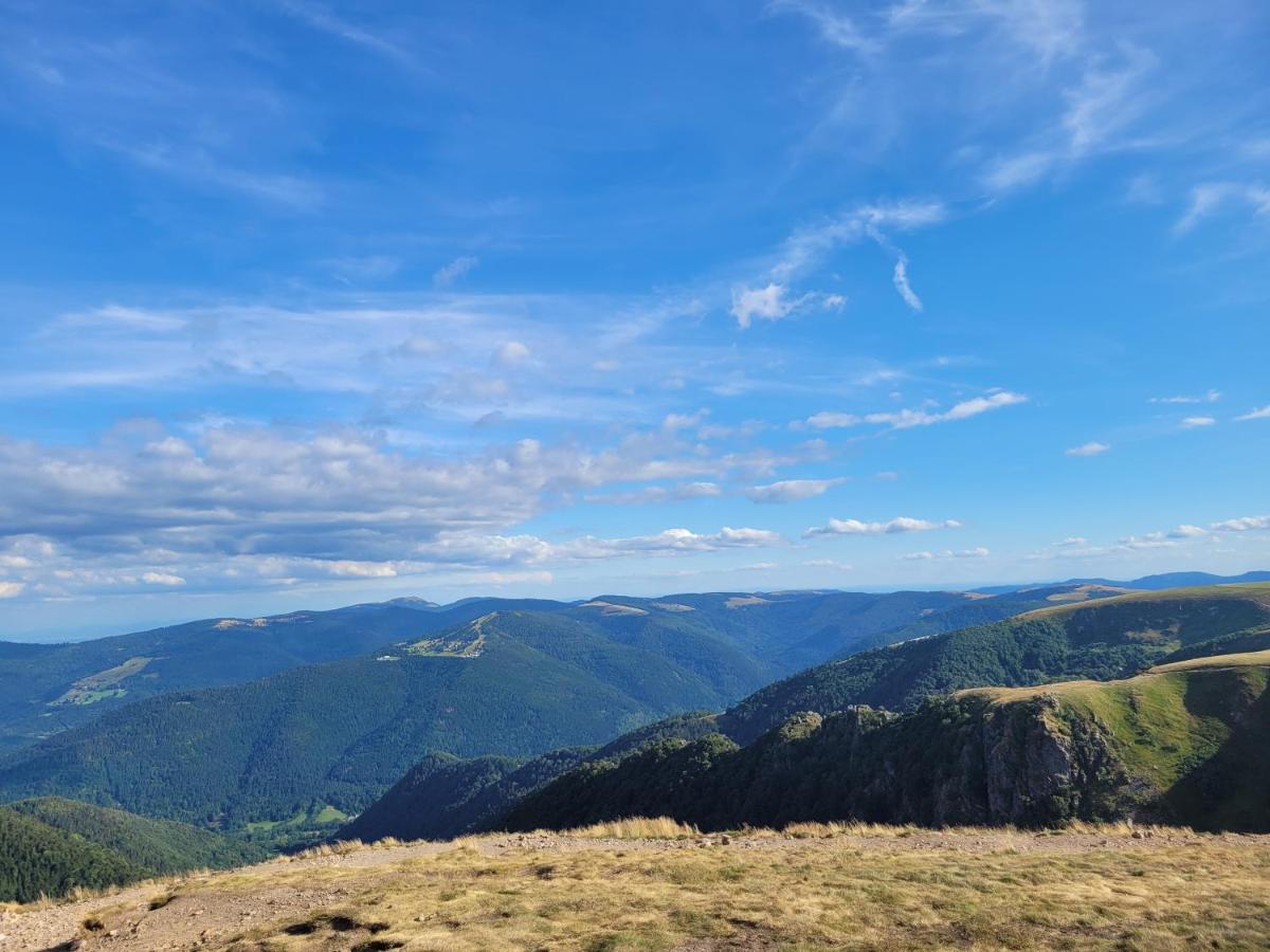 Appartement Chaleureux Au Coeur Des Hautes Vosges Вантрон Экстерьер фото
