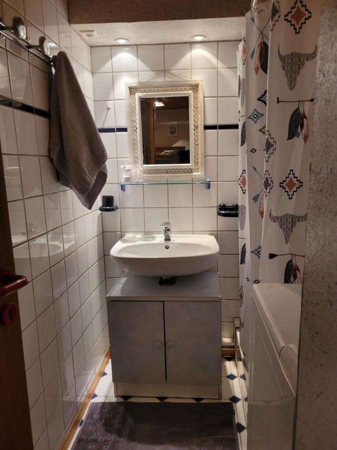 Appartement Chaleureux Au Coeur Des Hautes Vosges Вантрон Экстерьер фото