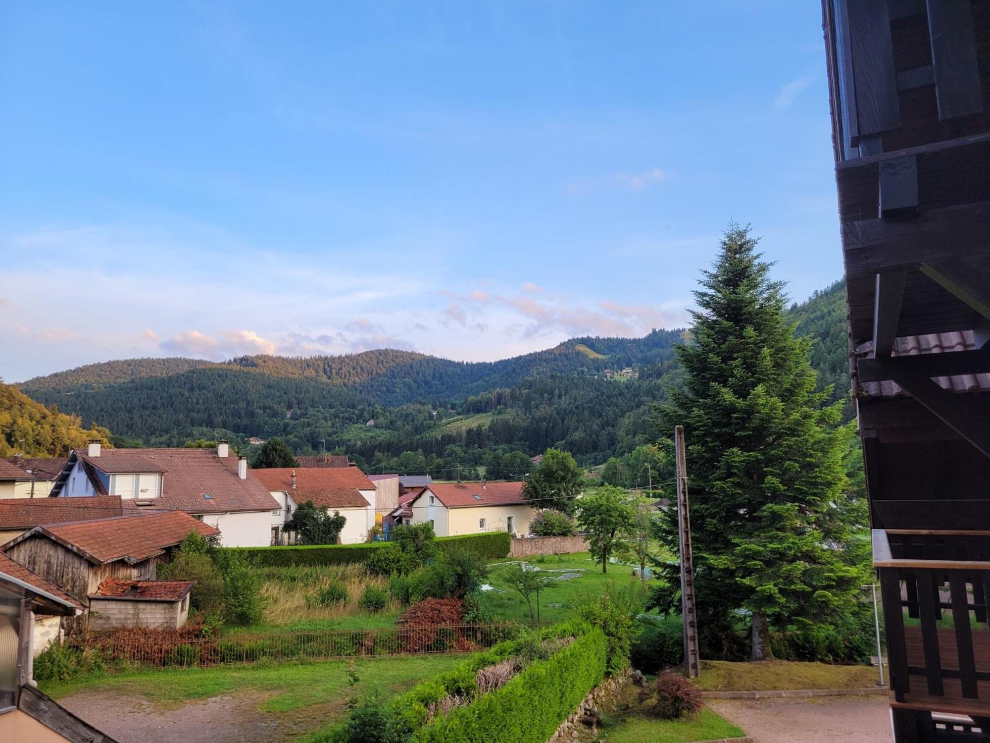 Appartement Chaleureux Au Coeur Des Hautes Vosges Вантрон Экстерьер фото