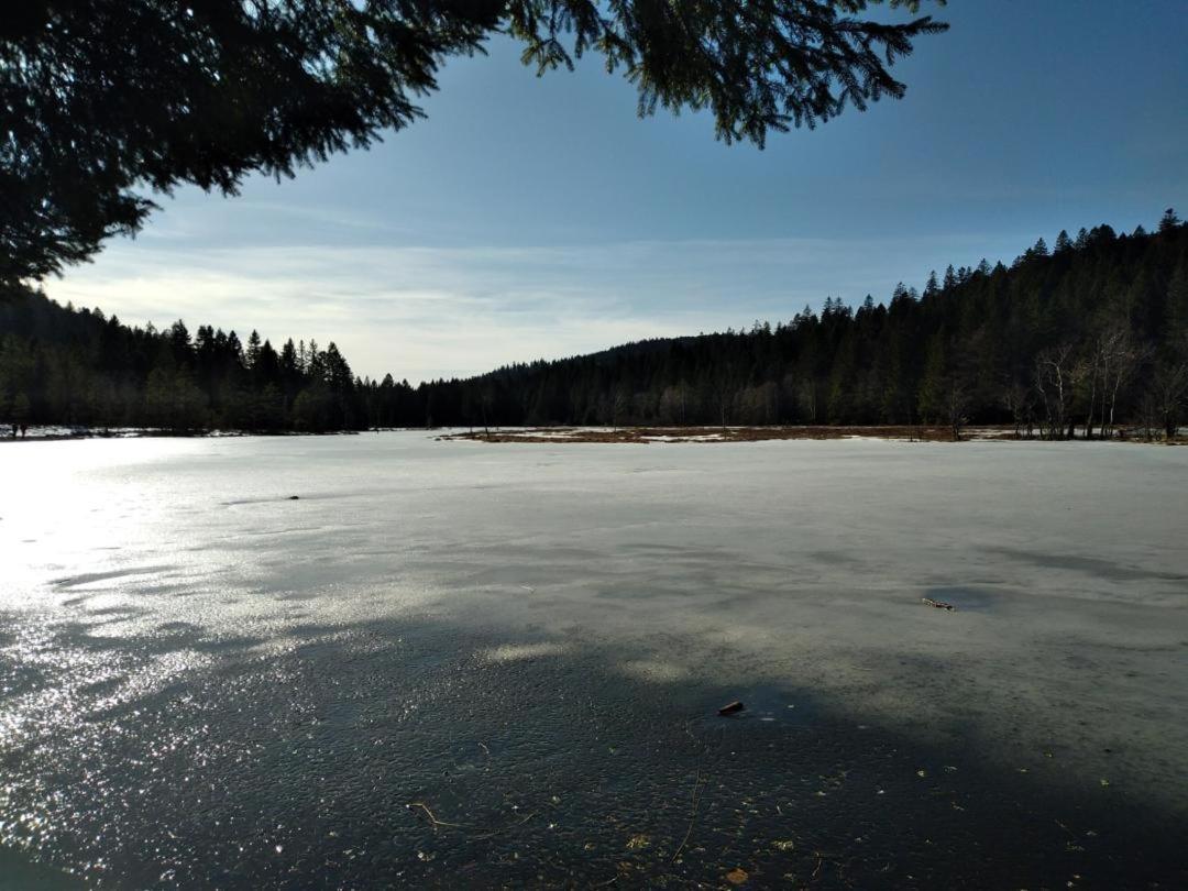 Appartement Chaleureux Au Coeur Des Hautes Vosges Вантрон Экстерьер фото
